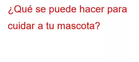 ¿Qué se puede hacer para cuidar a tu mascota?