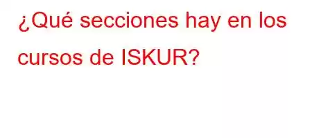 ¿Qué secciones hay en los cursos de ISKUR?