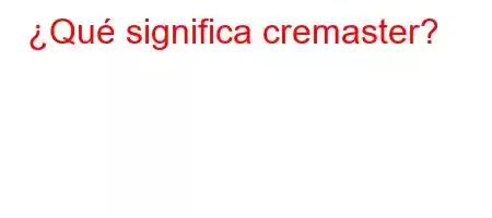 ¿Qué significa cremaster