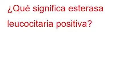 ¿Qué significa esterasa leucocitaria positiva