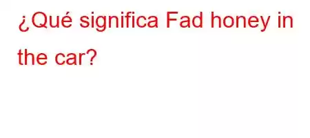 ¿Qué significa Fad honey in the car?