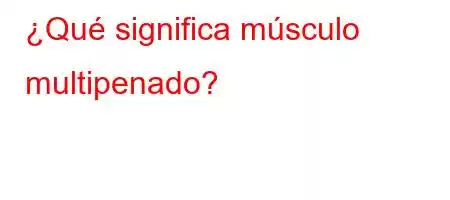 ¿Qué significa músculo multipenado?