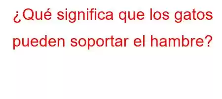 ¿Qué significa que los gatos pueden soportar el hambre