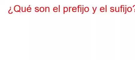 ¿Qué son el prefijo y el sufijo?