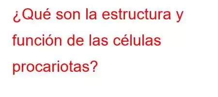 ¿Qué son la estructura y función de las células procariotas?