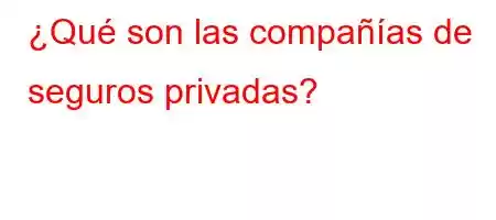 ¿Qué son las compañías de seguros privadas?