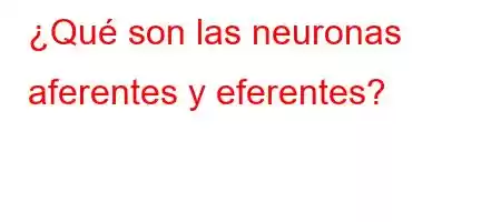 ¿Qué son las neuronas aferentes y eferentes?