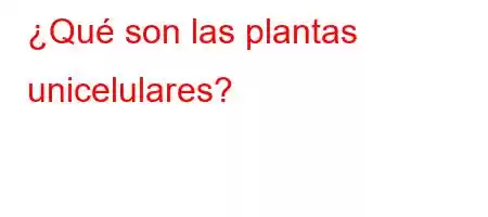 ¿Qué son las plantas unicelulares