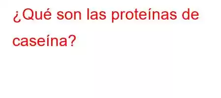 ¿Qué son las proteínas de caseína?