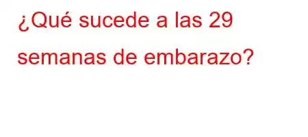 ¿Qué sucede a las 29 semanas de embarazo?