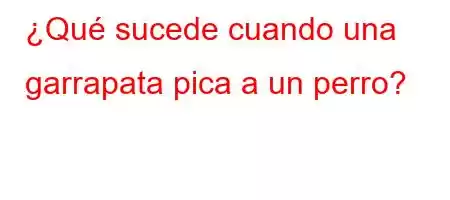 ¿Qué sucede cuando una garrapata pica a un perro