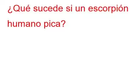 ¿Qué sucede si un escorpión humano pica?