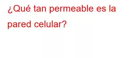 ¿Qué tan permeable es la pared celular?