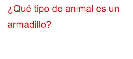 ¿Qué tipo de animal es un armadillo?