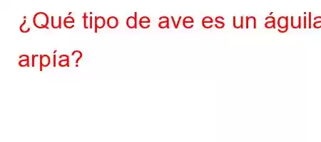 ¿Qué tipo de ave es un águila arpía?