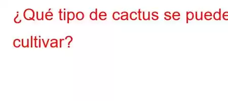 ¿Qué tipo de cactus se puede cultivar?