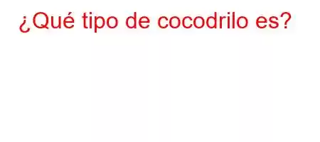 ¿Qué tipo de cocodrilo es?