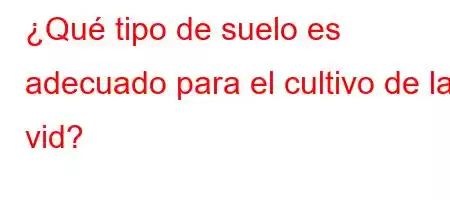 ¿Qué tipo de suelo es adecuado para el cultivo de la vid?