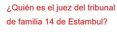 ¿Quién es el juez del tribunal de familia 14 de Estambul?