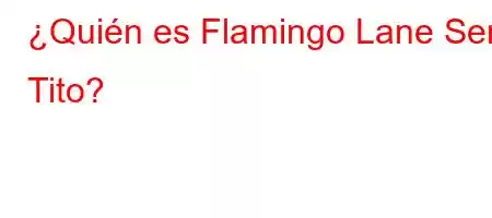 ¿Quién es Flamingo Lane Serif Tito?