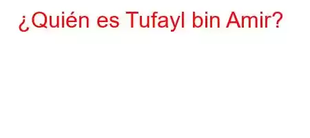 ¿Quién es Tufayl bin Amir?