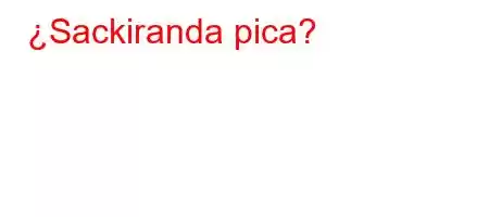 ¿Sackiranda pica