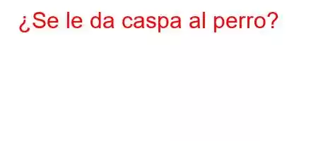 ¿Se le da caspa al perro?