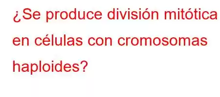 ¿Se produce división mitótica en células con cromosomas haploides?