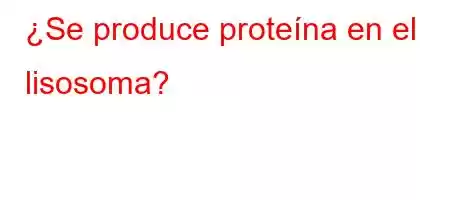 ¿Se produce proteína en el lisosoma?