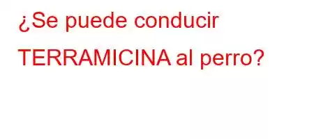 ¿Se puede conducir TERRAMICINA al perro?