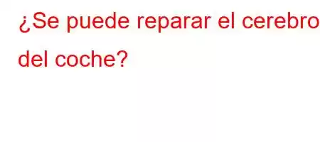 ¿Se puede reparar el cerebro del coche?