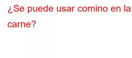 ¿Se puede usar comino en la carne?