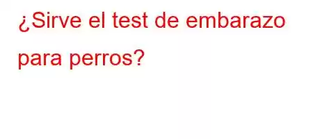 ¿Sirve el test de embarazo para perros?