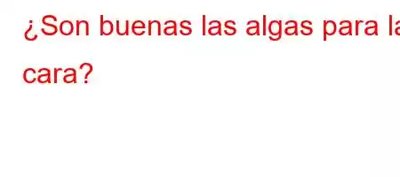 ¿Son buenas las algas para la cara