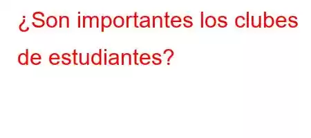 ¿Son importantes los clubes de estudiantes?