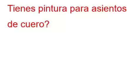 Tienes pintura para asientos de cuero?