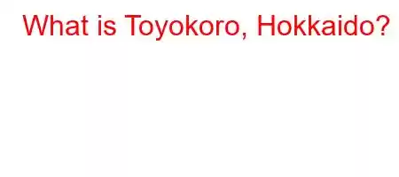 What is Toyokoro, Hokkaido